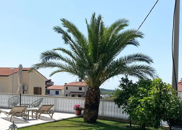 Komljenovic דירה