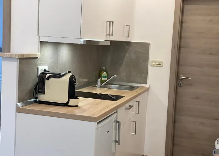 Komljenovic Appartement Pula