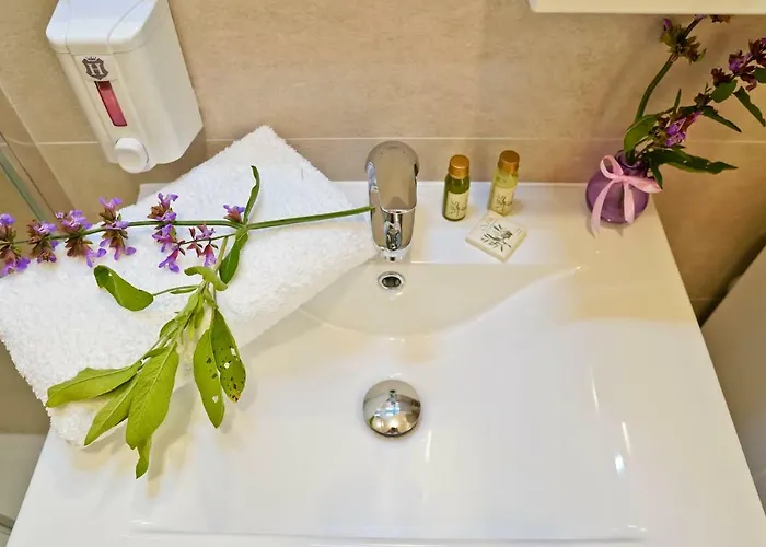 Daire Komljenovic Pula